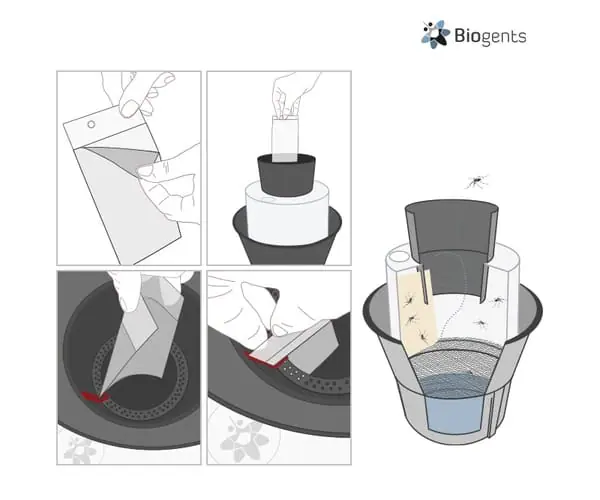 Sticky cards pour piège BG-GAT (lot de 10)