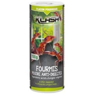 anti fourmi