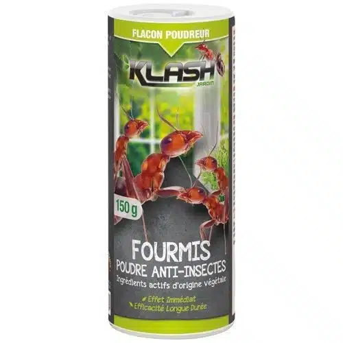 anti fourmi
