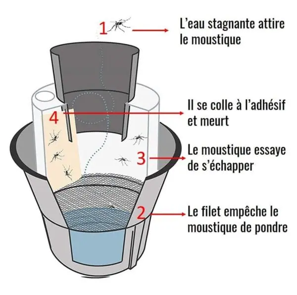 BIOGENTS Lot de 2 Pièges A Moustiques Anti Pontes Extérieurs - Anti Moustiques Tigres - Limite La Reproduction du Moustique Tigre - sans Electricité BG-GAT2