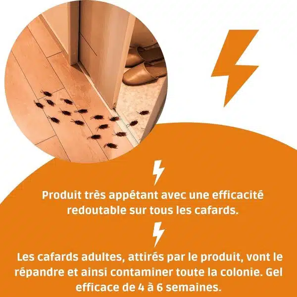 Gel Cafards Triple action, produit pour lutter contre les cafards et blattes- Insecticide anti-cafards, piège/seringue professionnel puissant