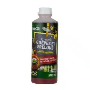 Attractif guêpes et frelons asiatique