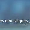 BIOGENTS Recharges 6 Mois | 3x2 Mois | Attractifs Piège Extérieur Anti-Moustiques & Moustiques Tigre BG-MOSQUITAIRE