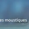 BIOGENTS Recharges 6 Mois | 3x2 Mois | Attractifs Piège Extérieur Anti-Moustiques & Moustiques Tigre BG-MOSQUITAIRE