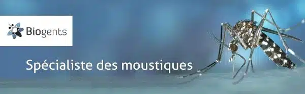 BIOGENTS Recharges 6 Mois | 3x2 Mois | Attractifs Piège Extérieur Anti-Moustiques & Moustiques Tigre BG-MOSQUITAIRE