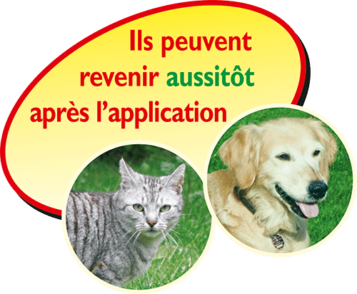 Désherbant neudorff polyvalent prêt à l'emploi