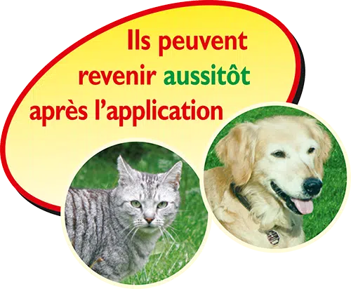 Désherbant neudorff polyvalent prêt à l'emploi