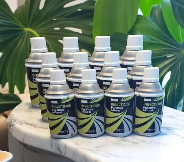 pyrethre vegetal insecticide