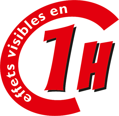 Désherbant Allées Terrasses prêt à l'emploi