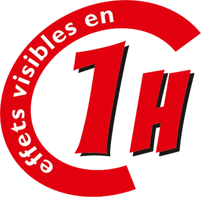 Désherbant Allées Terrasses prêt à l'emploi