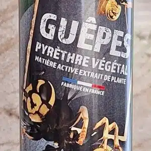 Éliminer les nids de guêpes