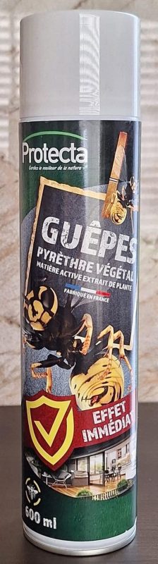 Éliminer les nids de guêpes