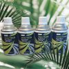 pyrethe naturel fond nature 4 bouteilles