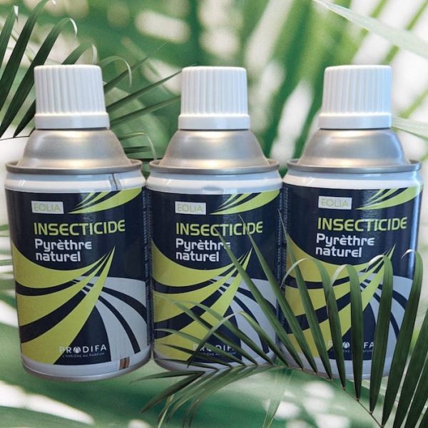 Traitement insectes intérieur extérieur naturel