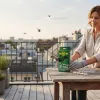 Détail des pics anti-pigeons en acier inoxydable – dispositif anti volatiles durable