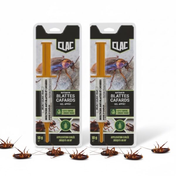2 seringue de Gel Anti-Cafard et des cafards mort